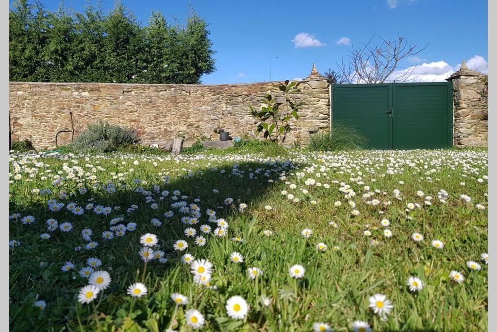 Estudio Pajar Rural Con Bonito Jardin - Los Gayoles Rural กาสโตรโพล ภายนอก รูปภาพ